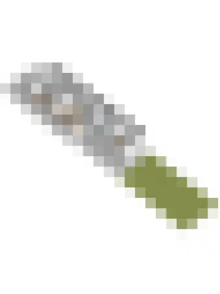 Plataanlaan 46 Winterswijk thumbnail 41