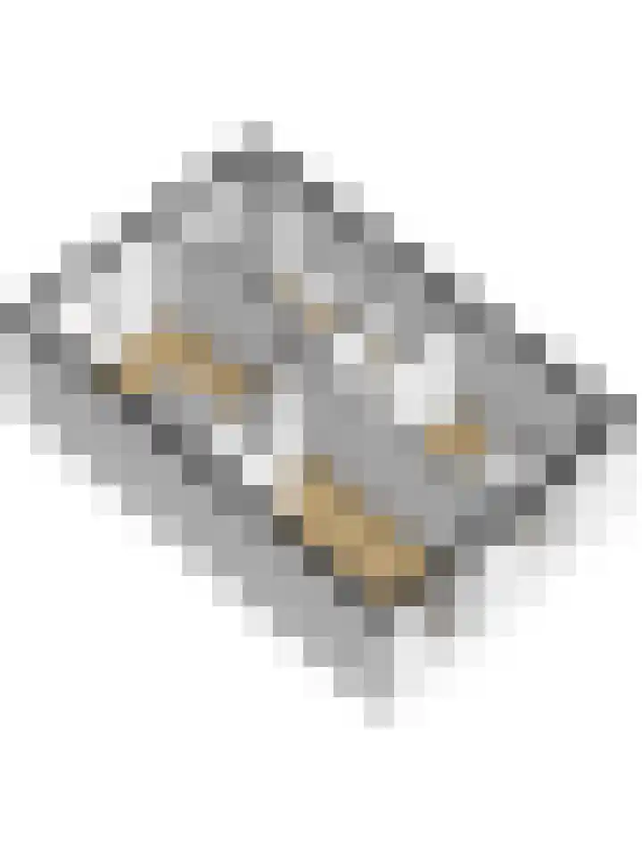 Plataanlaan 46 Winterswijk thumbnail 43