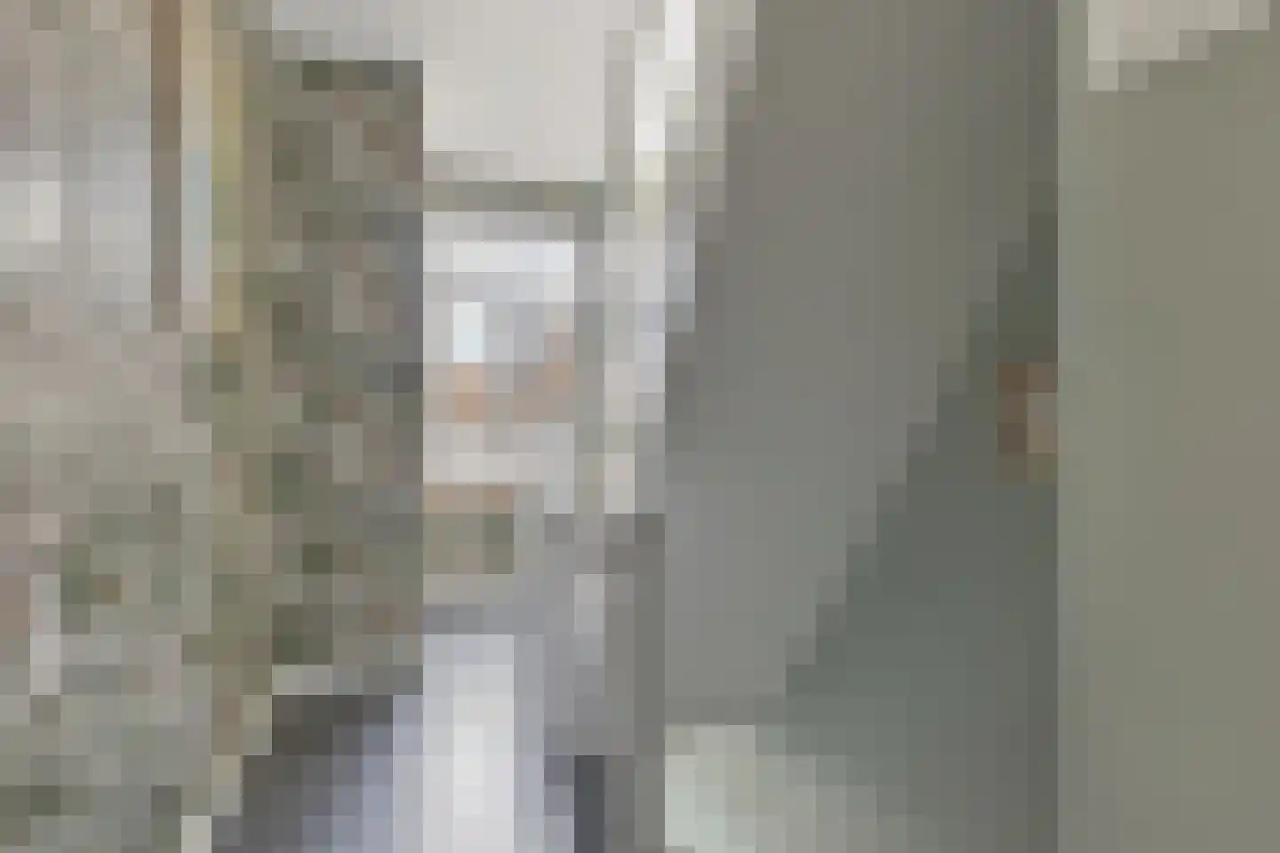Plataanlaan 48 Winterswijk thumbnail 33