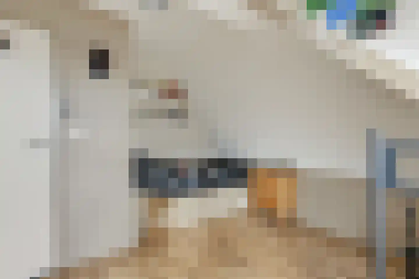 Plataanlaan 48 Winterswijk thumbnail 36