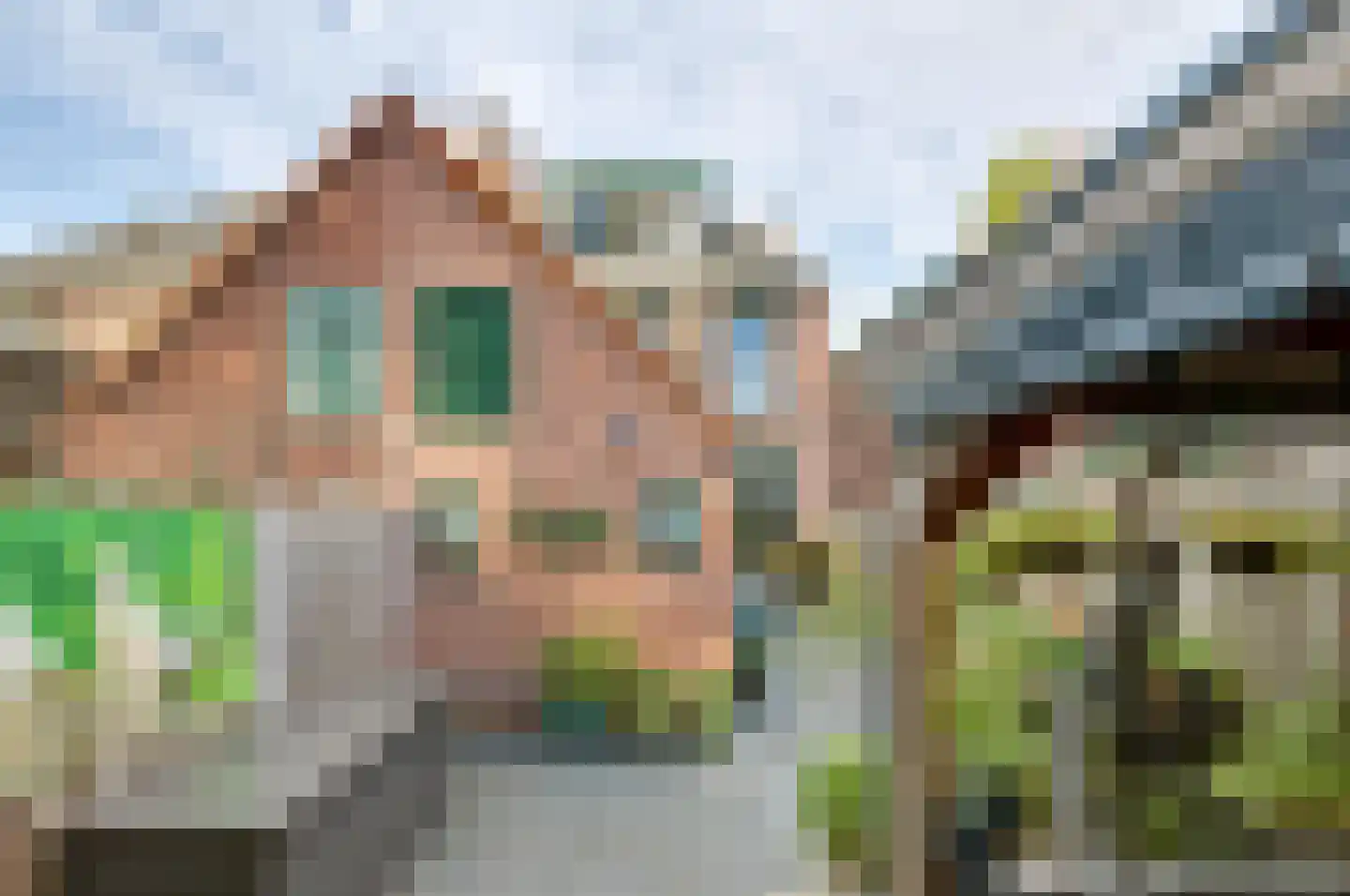 Plataanlaan 48 Winterswijk thumbnail 40