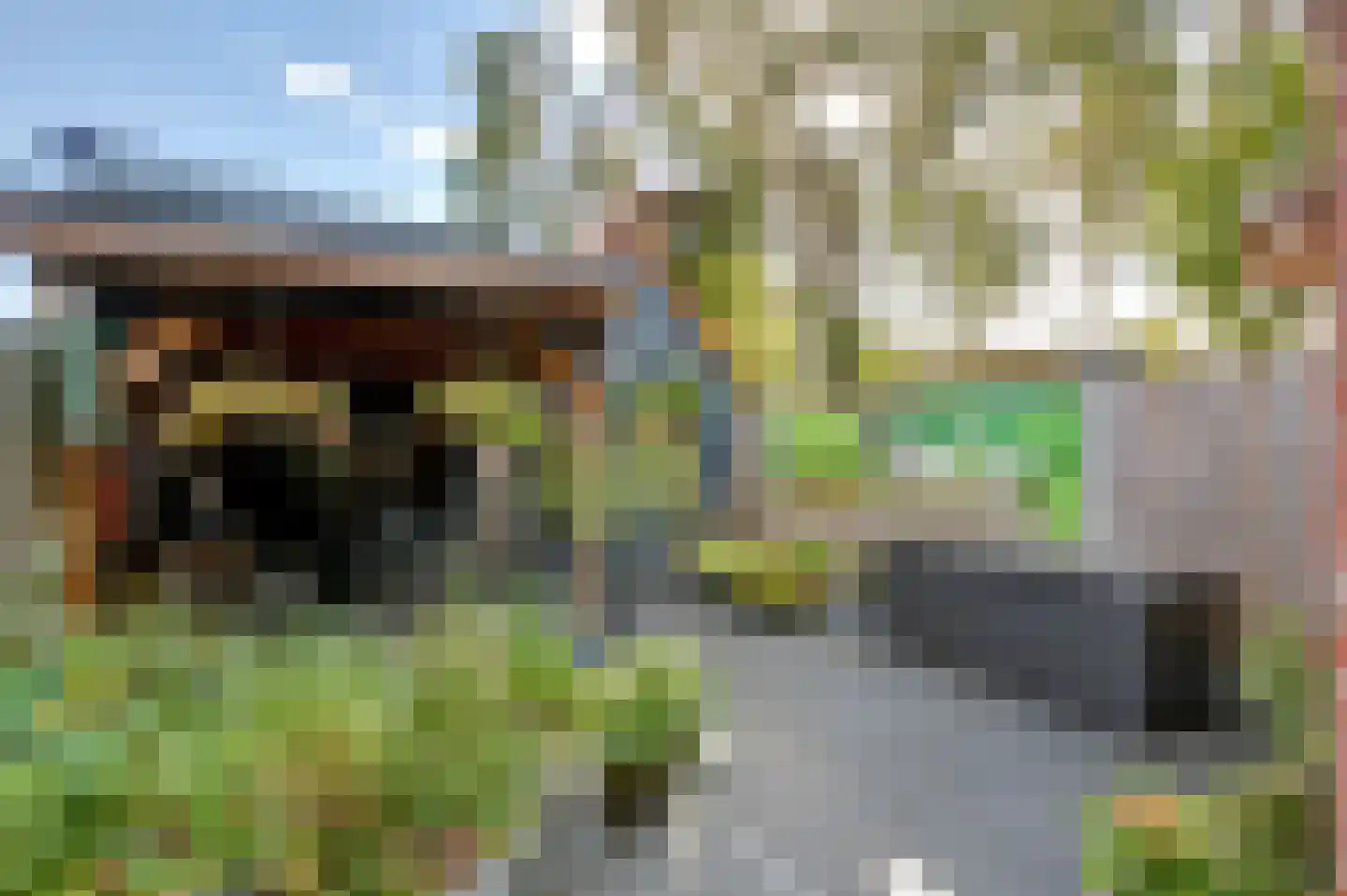Plataanlaan 48 Winterswijk thumbnail 42
