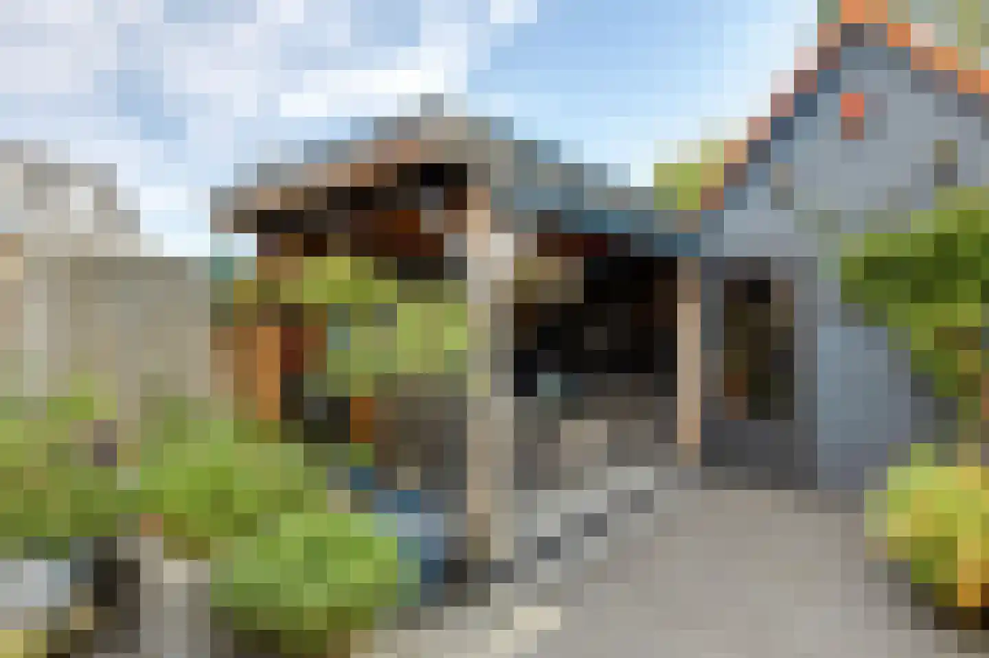 Plataanlaan 48 Winterswijk thumbnail 44