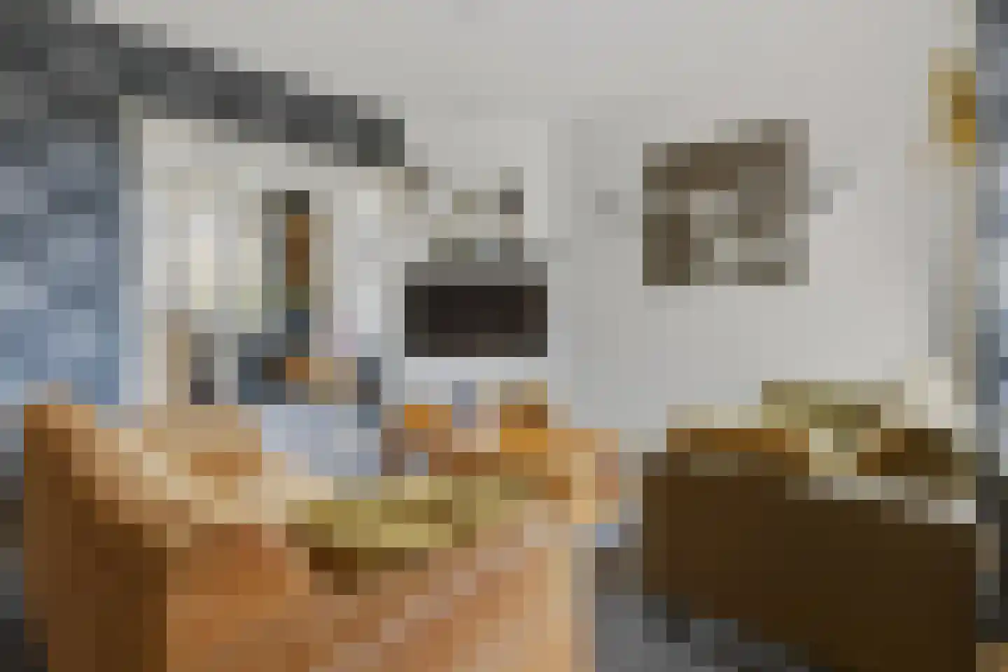 Plataanlaan 48 Winterswijk thumbnail 5