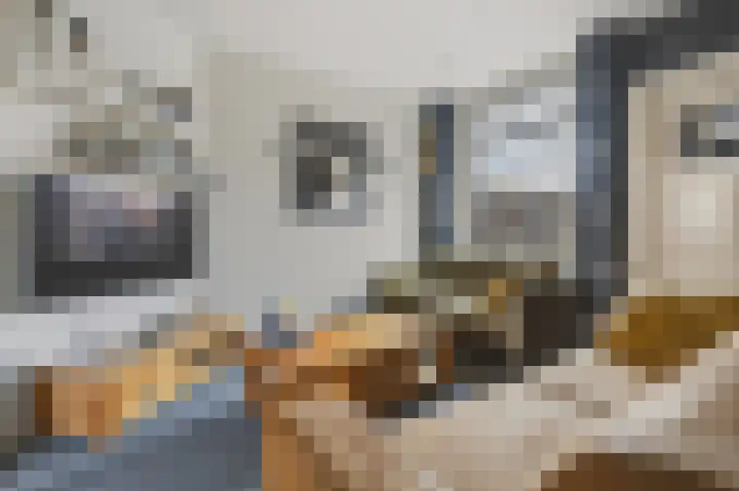 Plataanlaan 48 Winterswijk thumbnail 7