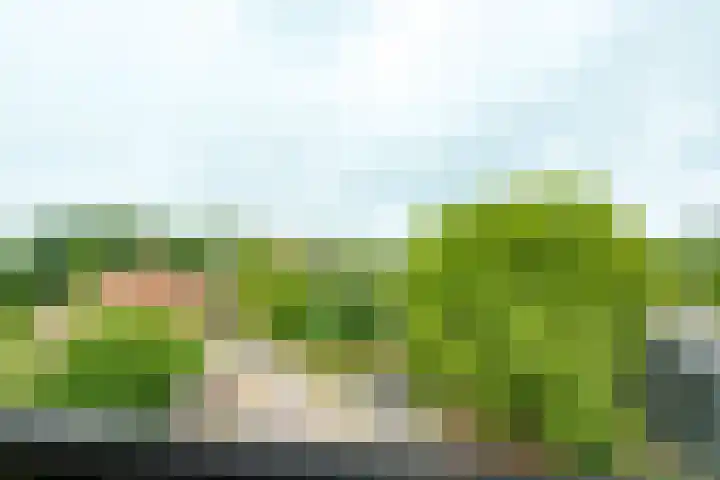 Plataanlaan 51 Wageningen thumbnail 18