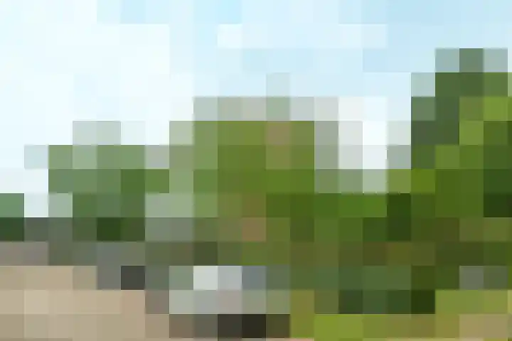 Plataanlaan 51 Wageningen thumbnail 20