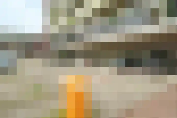 Plataanlaan 51 Wageningen thumbnail 22