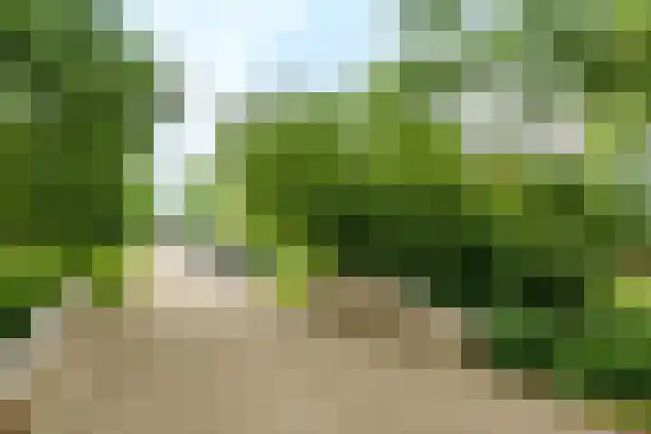 Plataanlaan 51 Wageningen thumbnail 23