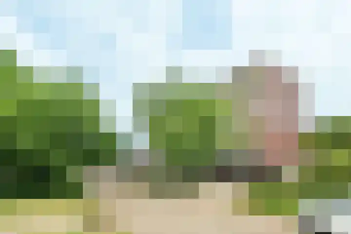 Plataanlaan 51 Wageningen thumbnail 28
