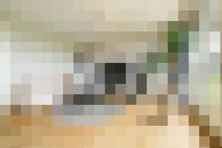 Plataanlaan 51 Wageningen thumbnail 6