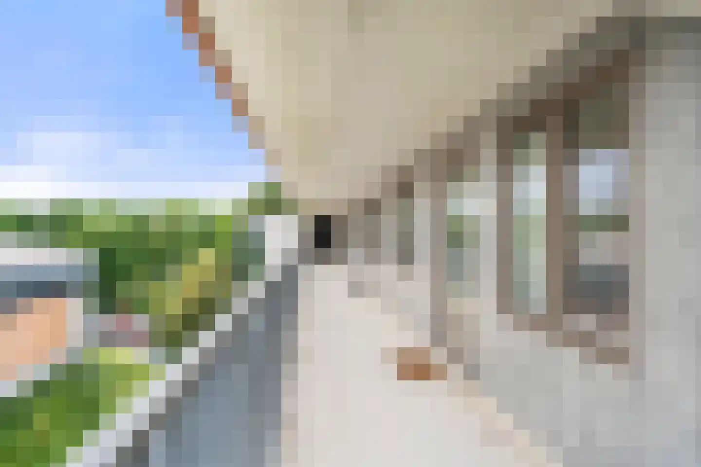 Plataanlaan 55 Wageningen thumbnail 12