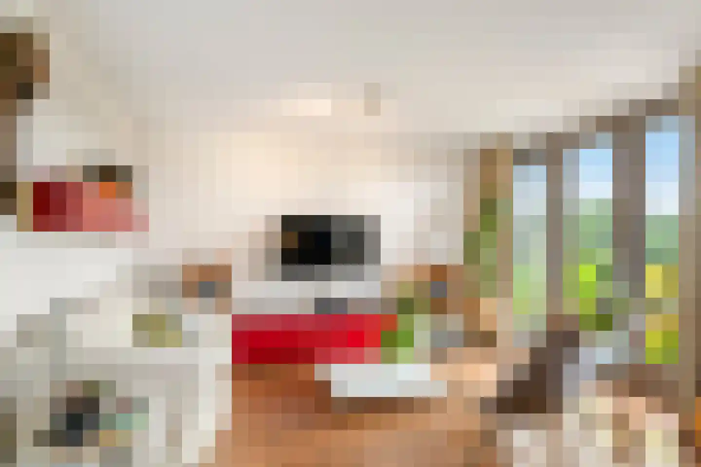 Plataanlaan 55 Wageningen thumbnail 17