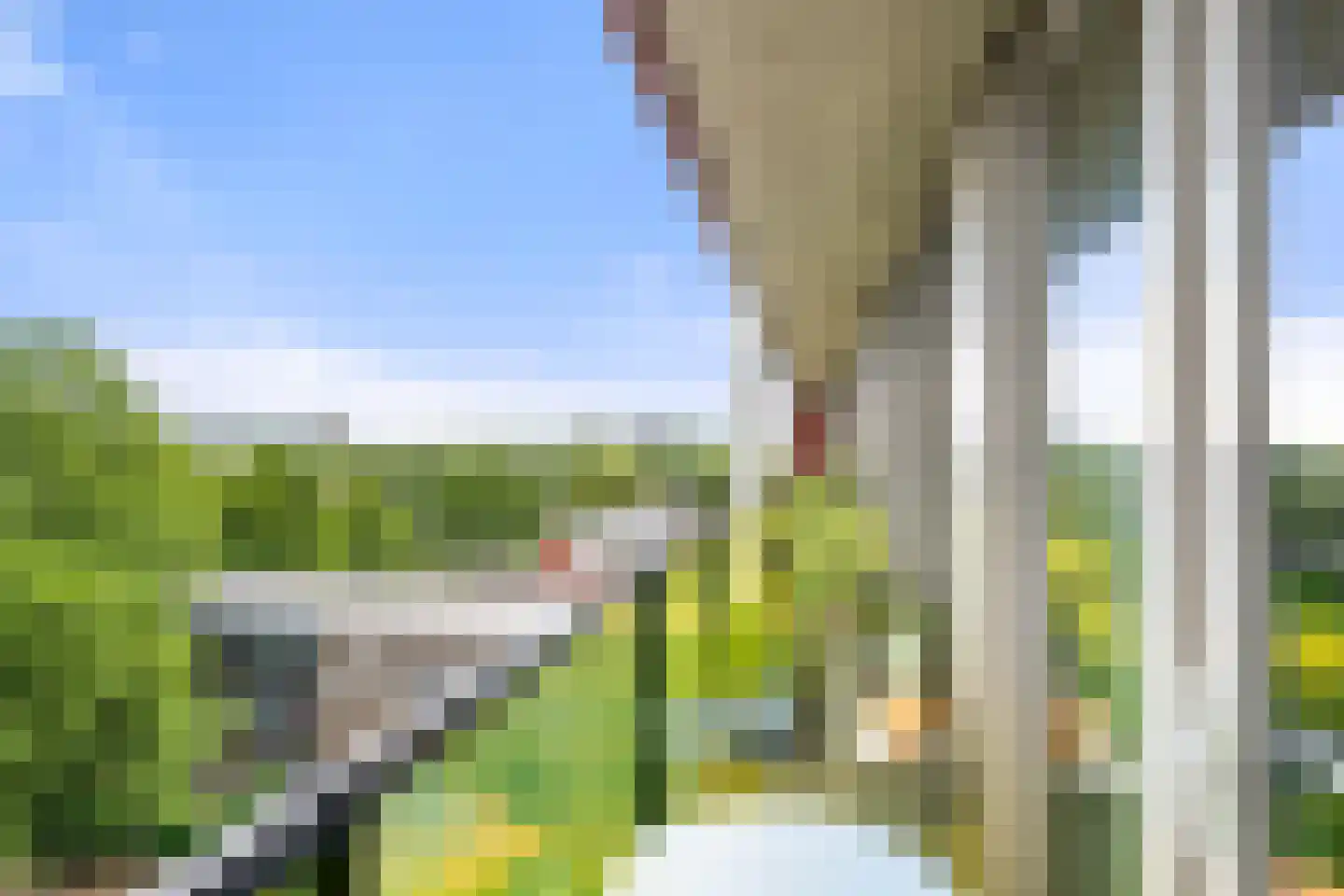 Plataanlaan 55 Wageningen thumbnail 21