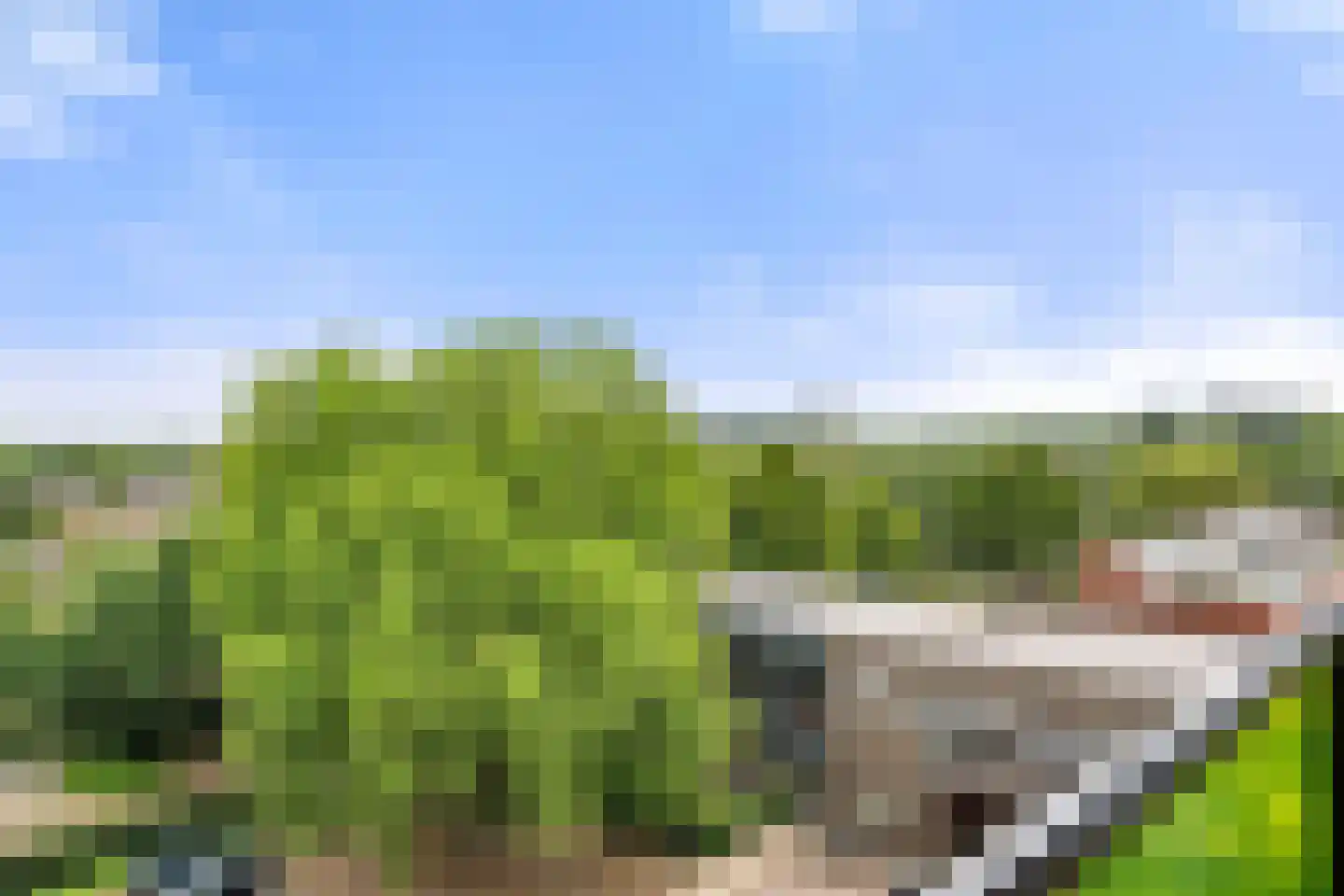 Plataanlaan 55 Wageningen thumbnail 23