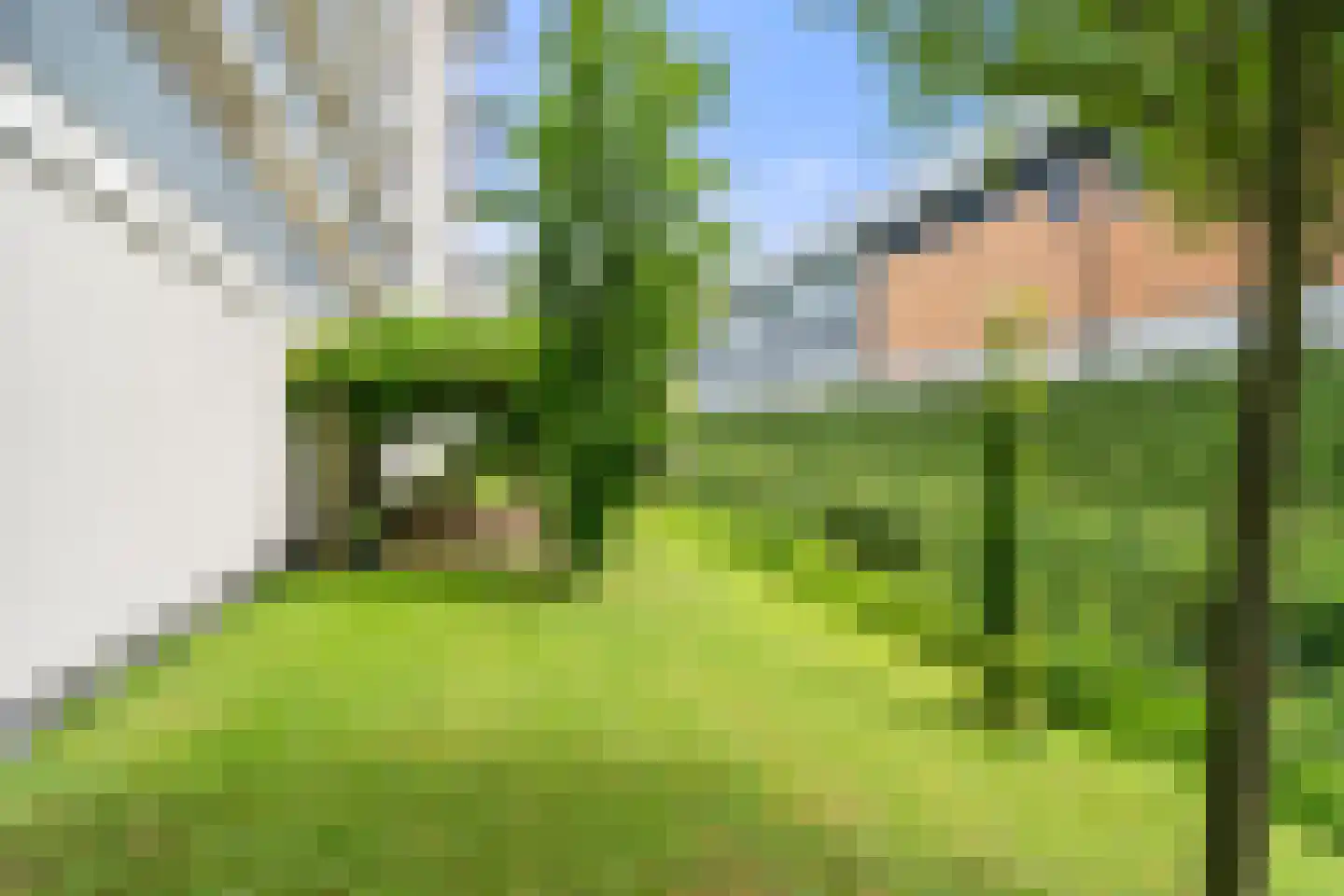 Plataanlaan 55 Wageningen thumbnail 4
