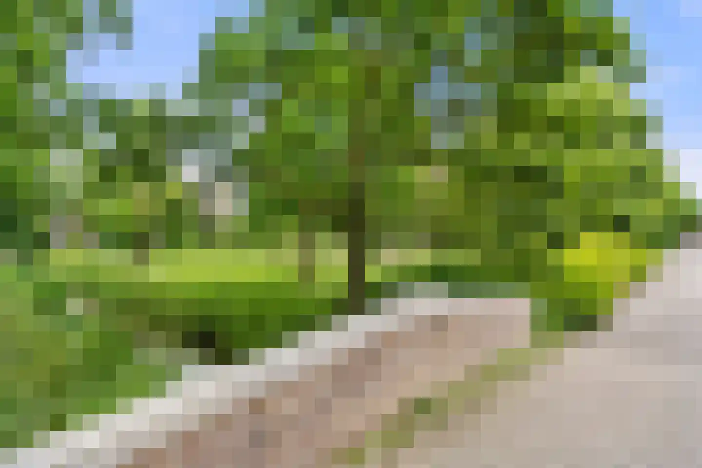 Plataanlaan 55 Wageningen thumbnail 5