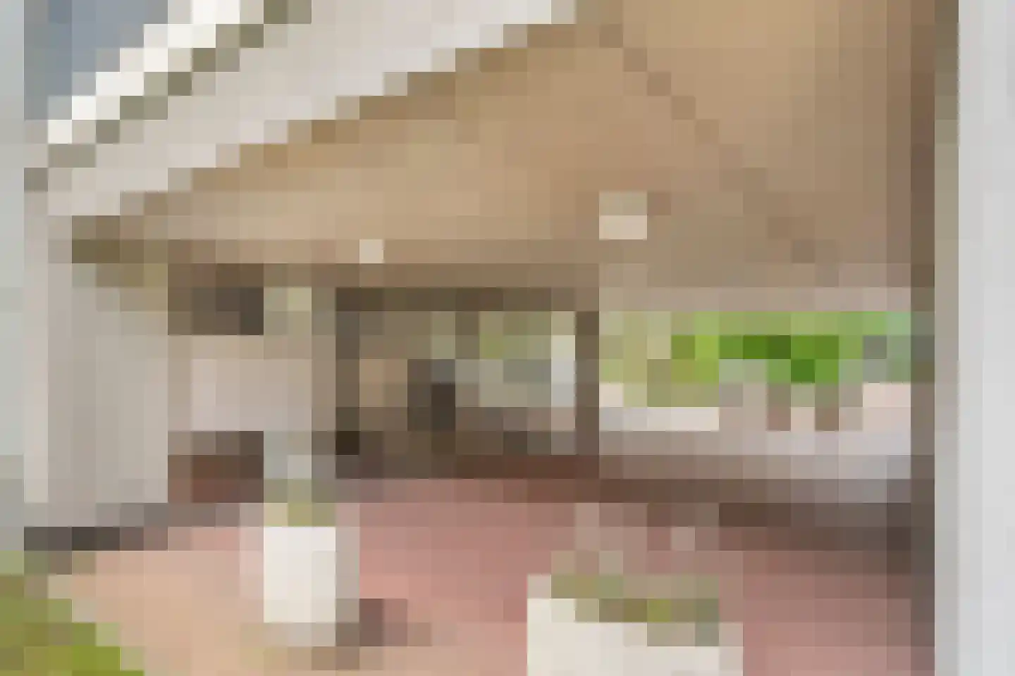 Plataanlaan 55 Wageningen thumbnail 7