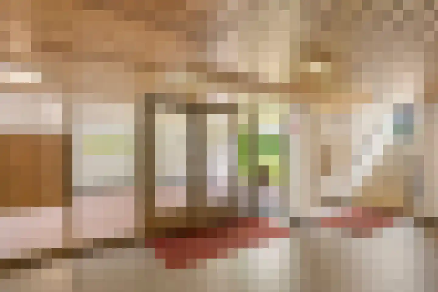 Plataanlaan 55 Wageningen thumbnail 8