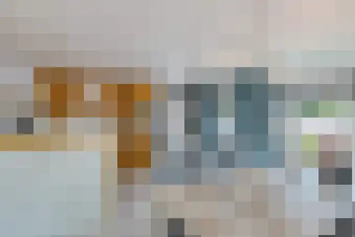 Plataanlaan 8 Emmer-Compascuum thumbnail 14