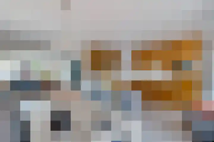 Plataanlaan 8 Emmer-Compascuum thumbnail 15