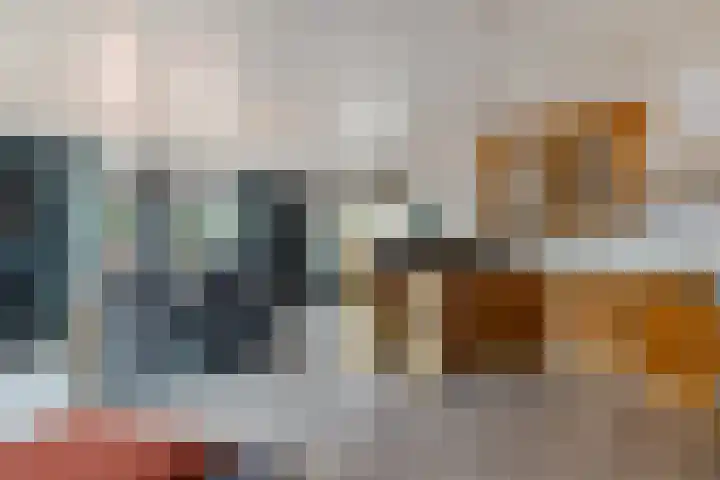Plataanlaan 8 Emmer-Compascuum thumbnail 17