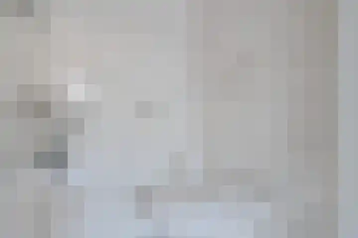 Plataanlaan 8 Emmer-Compascuum thumbnail 19