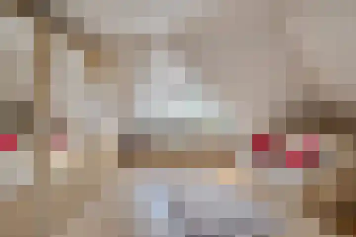Plataanlaan 8 Emmer-Compascuum thumbnail 21