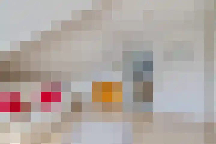 Plataanlaan 8 Emmer-Compascuum thumbnail 22