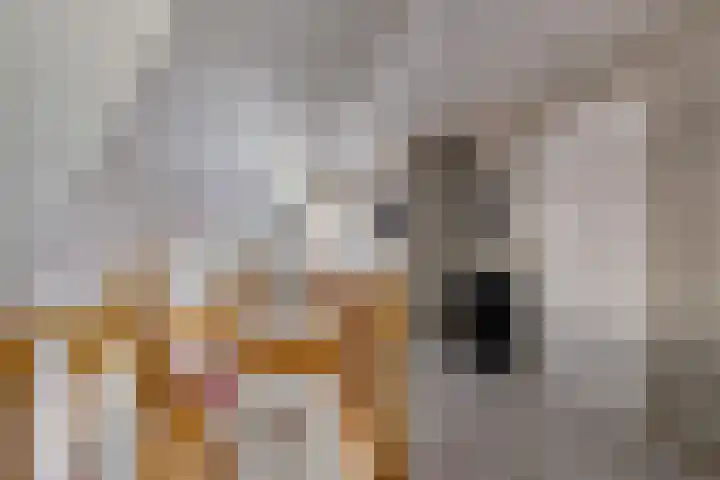 Plataanlaan 8 Emmer-Compascuum thumbnail 23