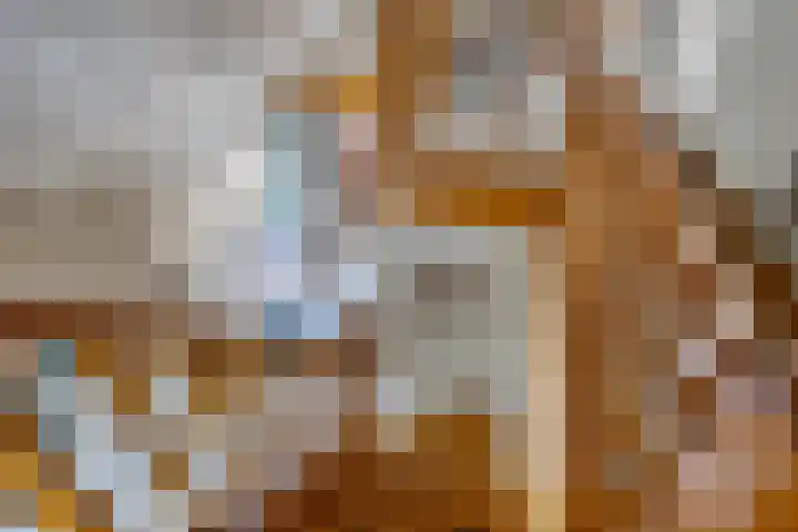 Plataanlaan 8 Emmer-Compascuum thumbnail 24