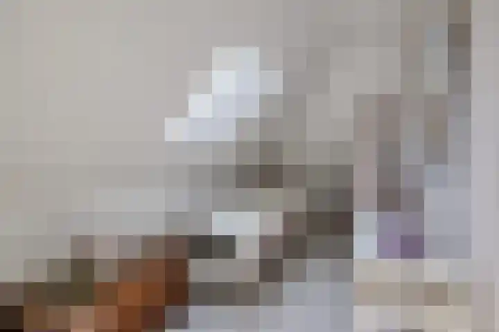 Plataanlaan 8 Emmer-Compascuum thumbnail 25