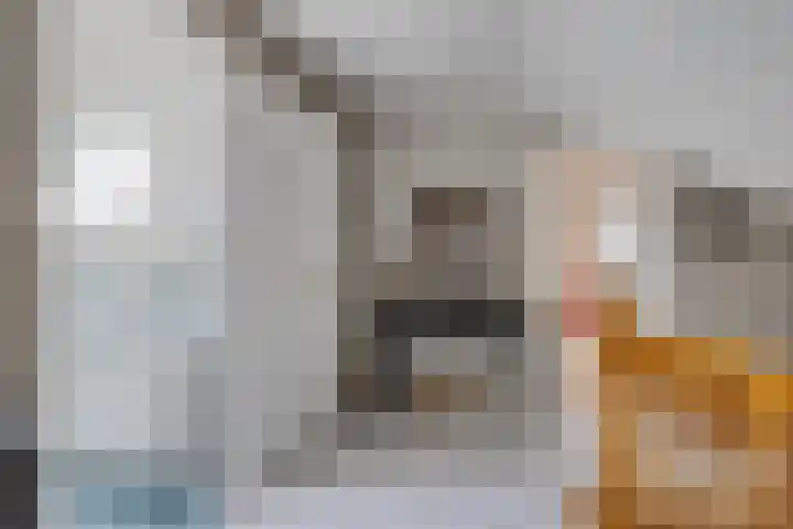 Plataanlaan 8 Emmer-Compascuum thumbnail 28