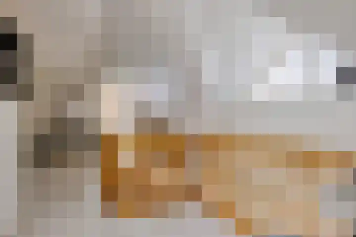 Plataanlaan 8 Emmer-Compascuum thumbnail 32