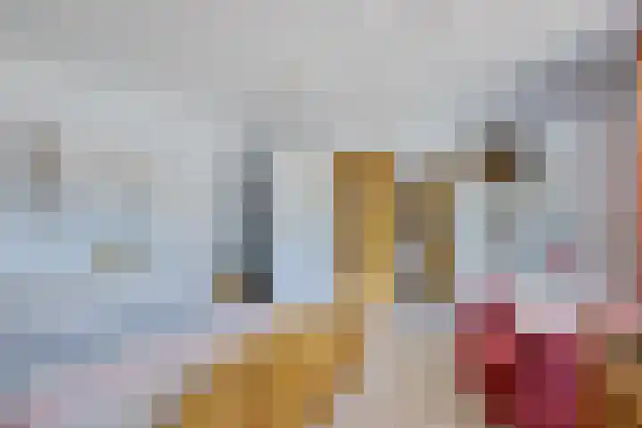 Plataanlaan 8 Emmer-Compascuum thumbnail 34