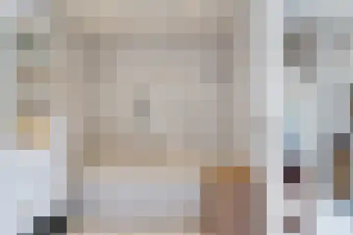 Plataanlaan 8 Emmer-Compascuum thumbnail 35