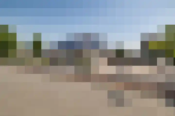 Plataanlaan 8 Emmer-Compascuum thumbnail 5