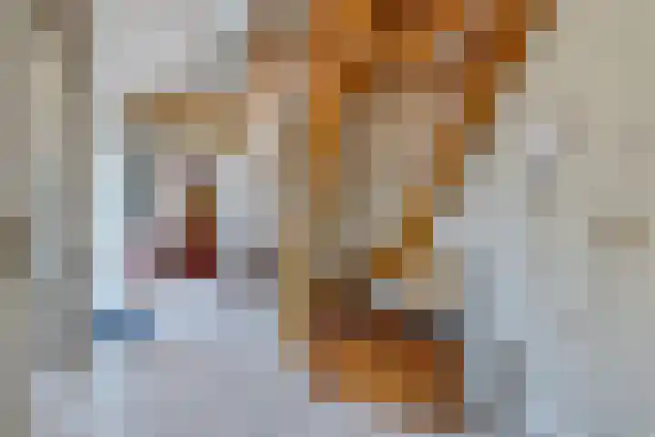 Plataanlaan 8 Emmer-Compascuum thumbnail 8