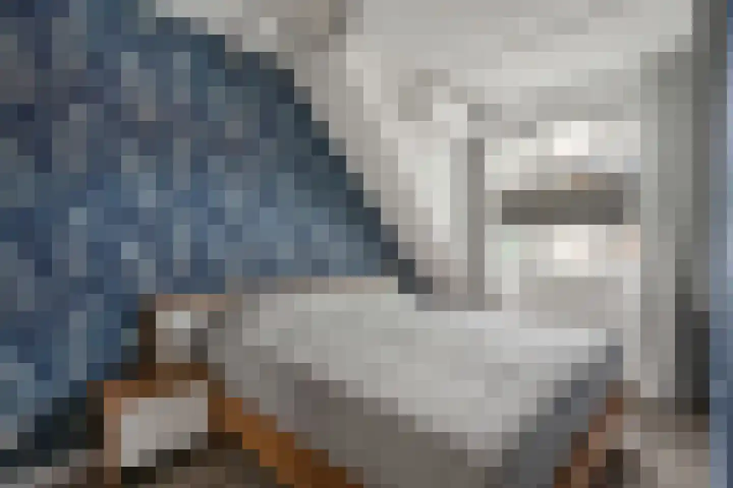 Plataanpad 10 Hoef en Haag thumbnail 15