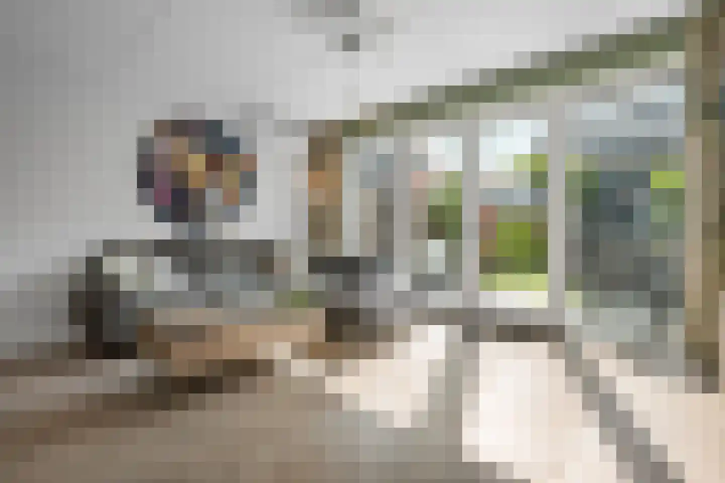 Plataanpad 10 Hoef en Haag thumbnail 4