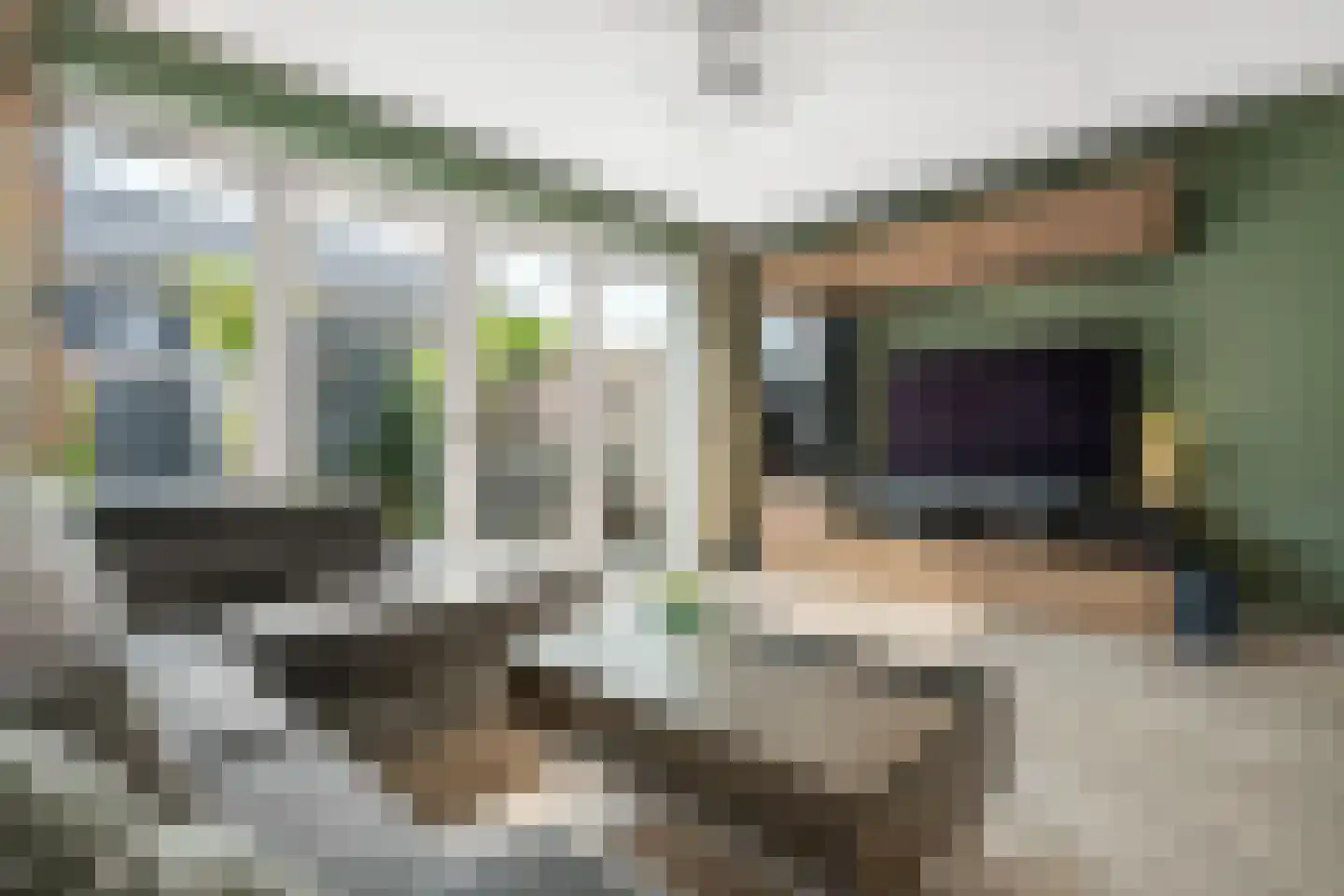 Plataanpad 10 Hoef en Haag thumbnail 5