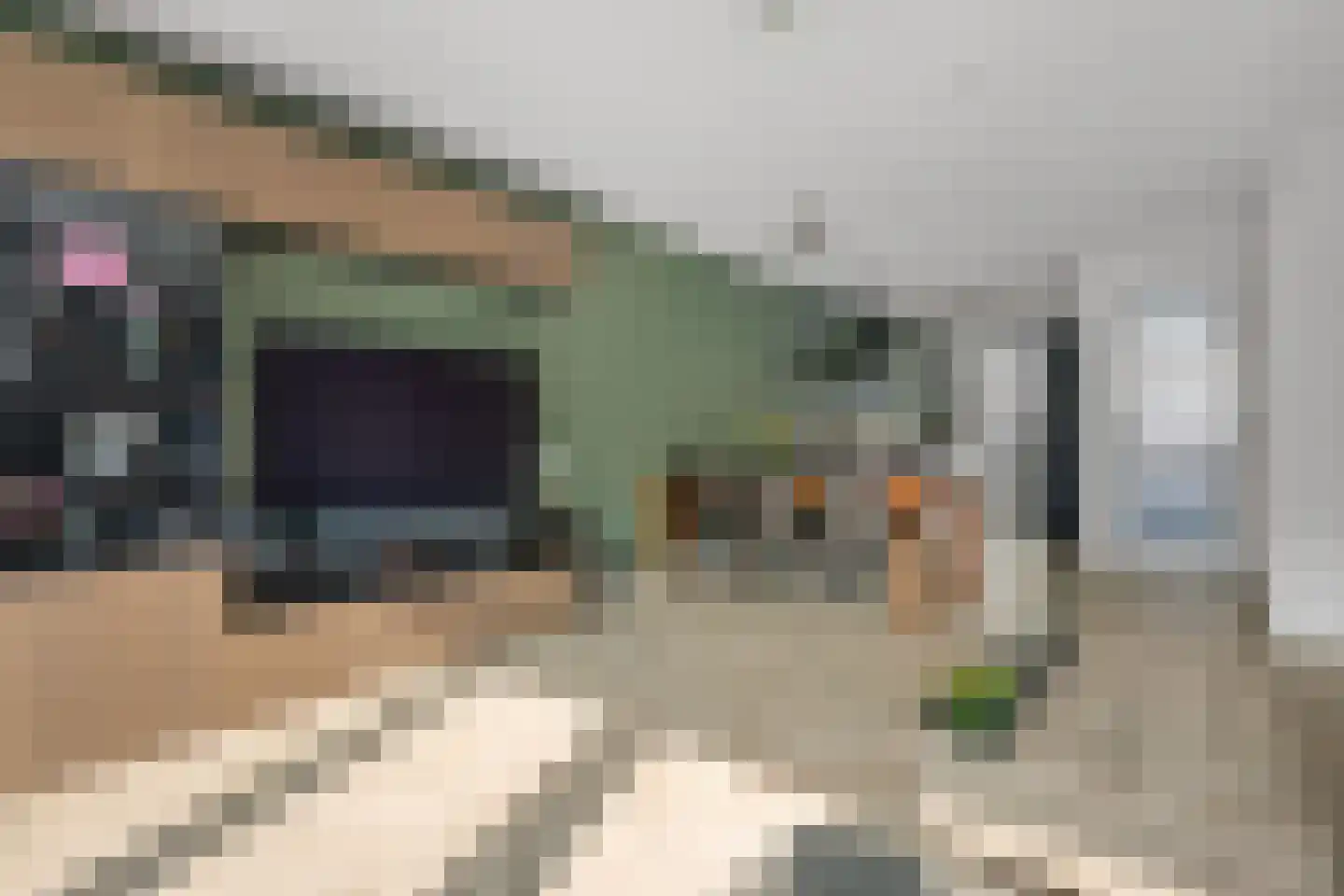 Plataanpad 10 Hoef en Haag thumbnail 6