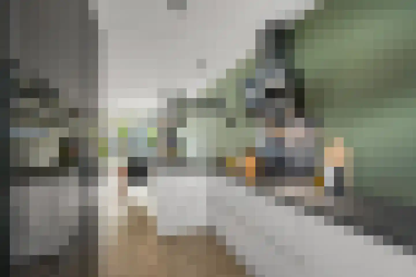 Plataanpad 10 Hoef en Haag thumbnail 8