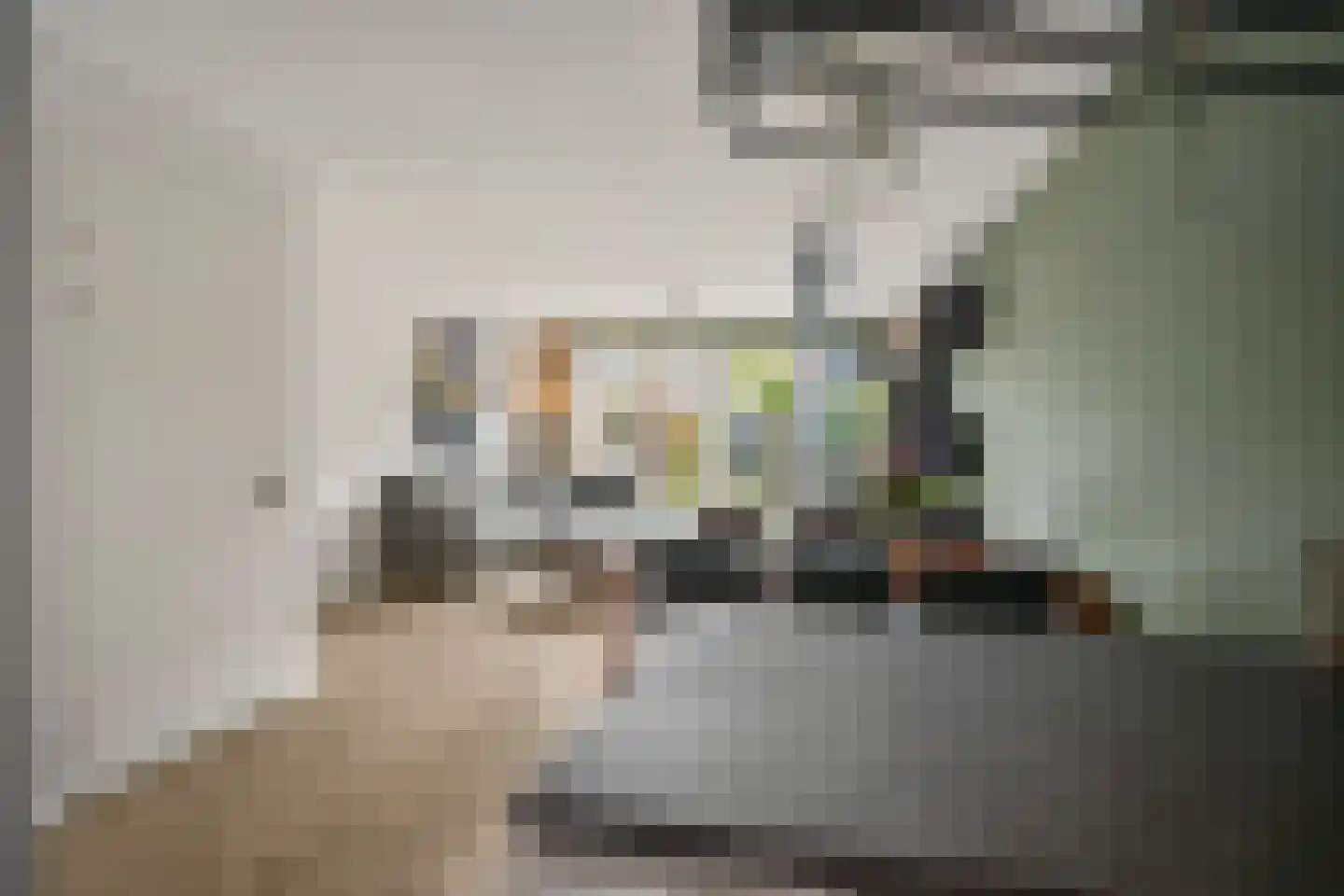 Plataanpad 10 Hoef en Haag thumbnail 9