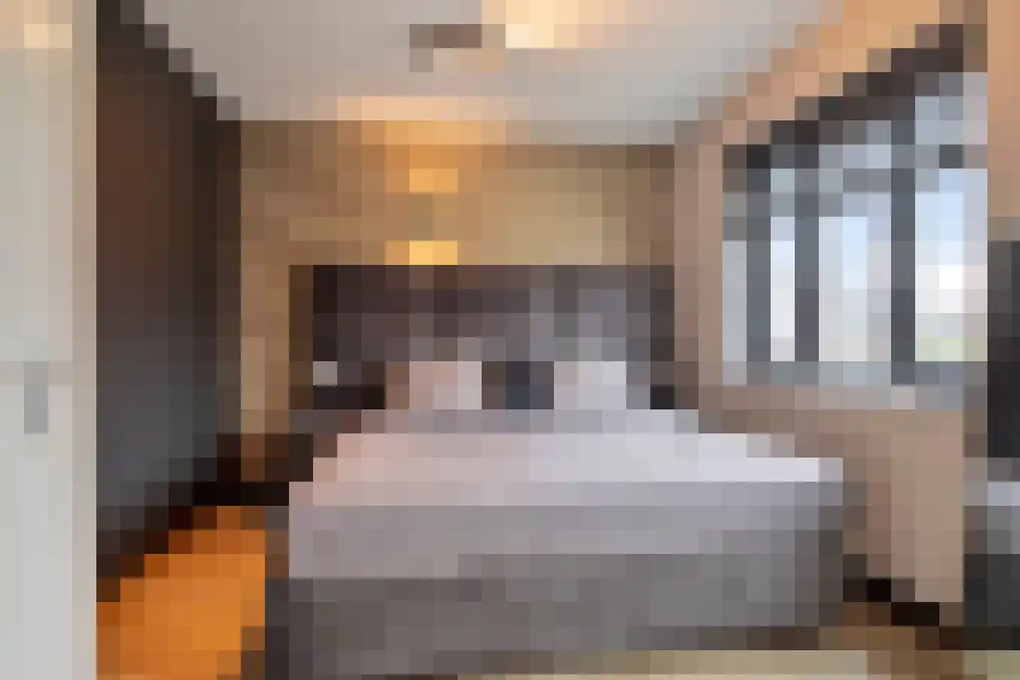Plataanpad 17 Hoef en Haag thumbnail 17