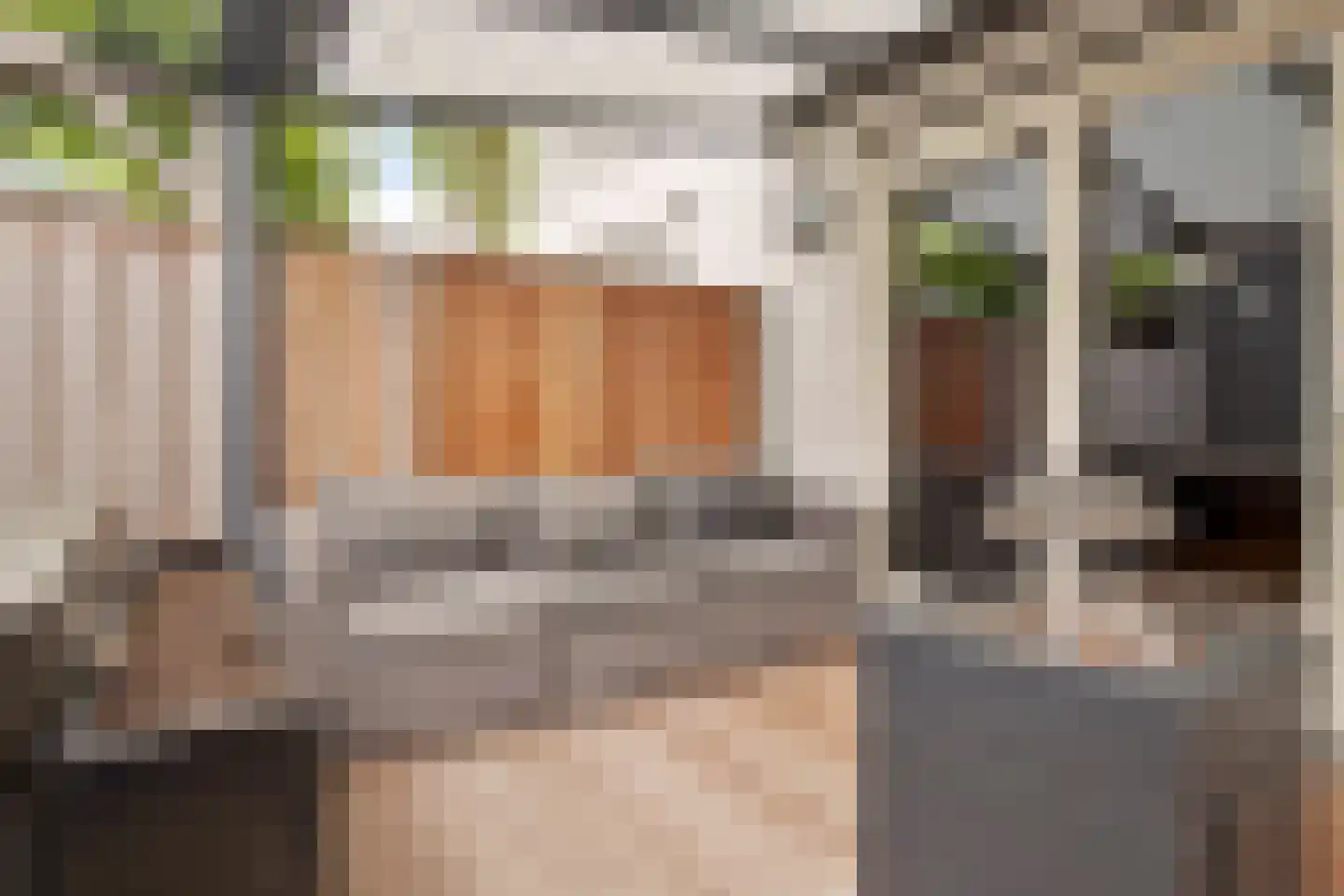 Plataanpad 17 Hoef en Haag thumbnail 26
