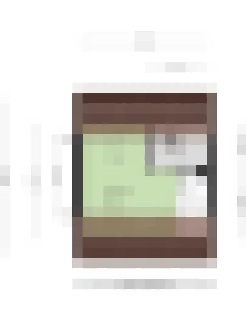 Plataanpad 17 Hoef en Haag thumbnail 32