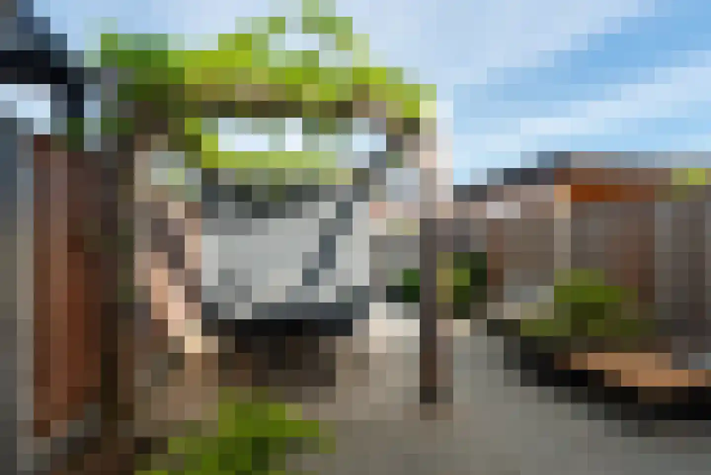 Plataanpad 19 Hoef en Haag thumbnail 36