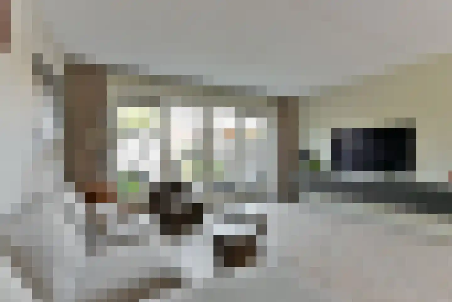 Plataanpad 19 Hoef en Haag thumbnail 4
