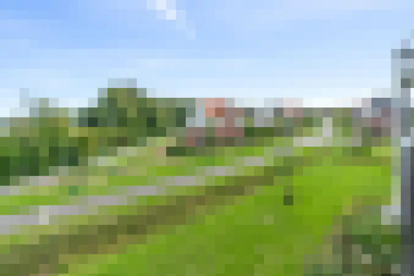 Plataanpad 56 Hoef en Haag thumbnail 21